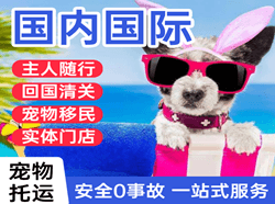 东河空运公司国际宠物托运 【国